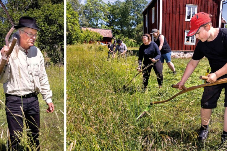 Kurs i lieslåtter i Stensjö by: ”Tekniken är lite som att dansa”
