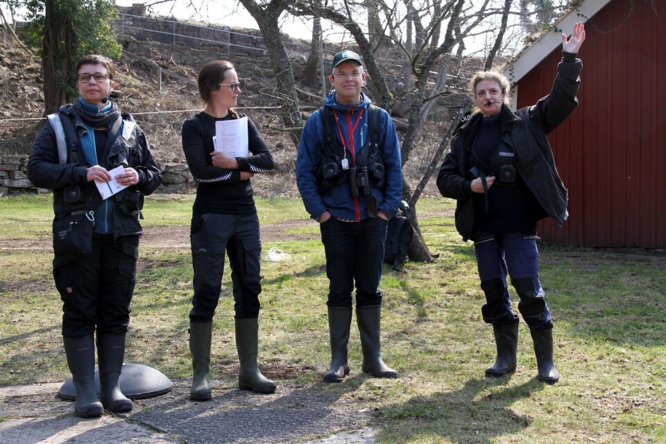 Charlotta Larsson, Elin Boberg, Jonas Hedin och Christina Erlandsson informerade på lördagseftermiddagen om vad som är på gång i  Borga hage naturreservat de närmaste åren.