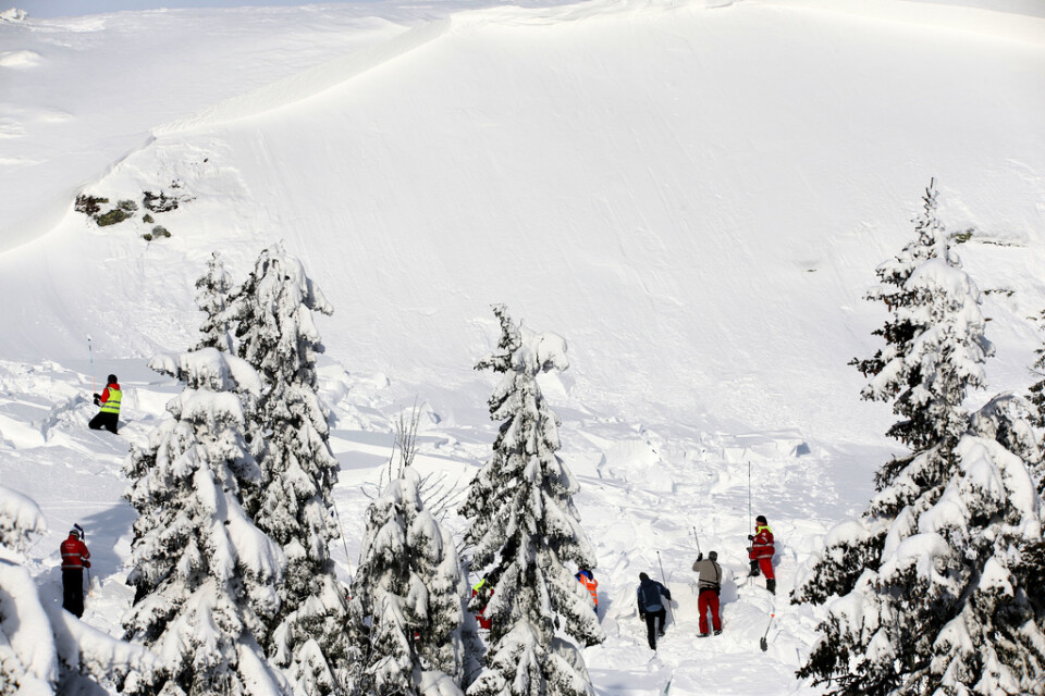Norska Röda Korset söker igenom terrängen efter en lavin. Arkivbild.