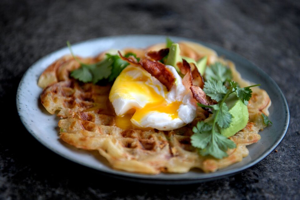Waffles with all the extras. Here with crispy bacon, cheese and chili, served with poached egg, avocado and coriander.