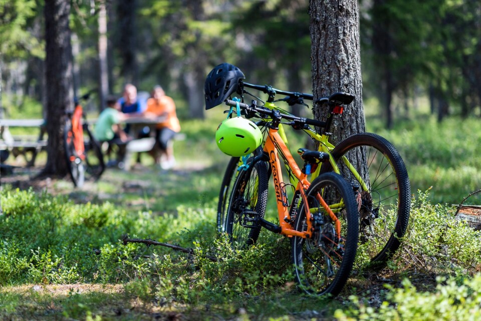 Orsa Grönklitt lockar med skidåkning på vintern och bland annat cykling och vandring på sommaren.