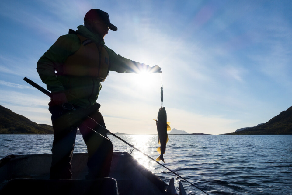 Många svenskar vill fiska i pandemitider. Arkivbild.