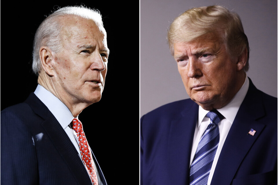 Demokraten Joe Biden och den sittande republikanske presidenten Donald Trump kommer av allt att döma att mötas i presidentvalet den 3 november.