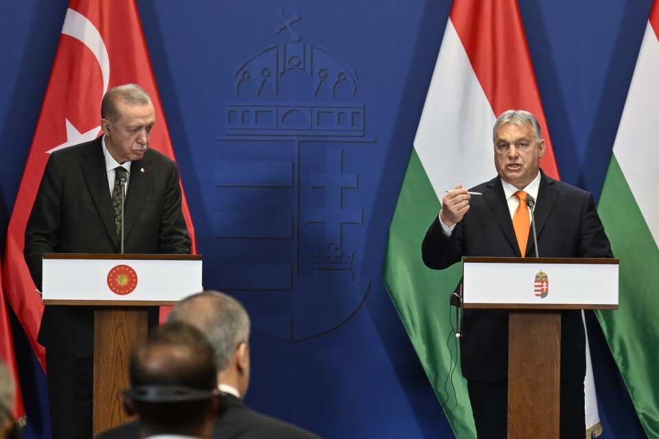 Turkiets president Recep Tayyip Erdogan och Ungerns premiärminister Viktor Orban träffades för några veckor sedan i Budapest.