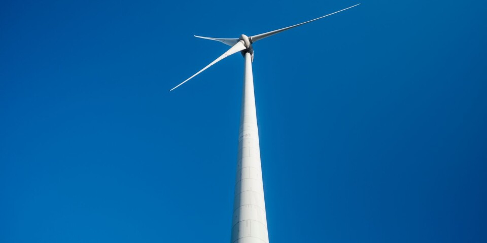 I framtiden kan vindkraftshajpen mycket väl avslöjas som en miljöskandal