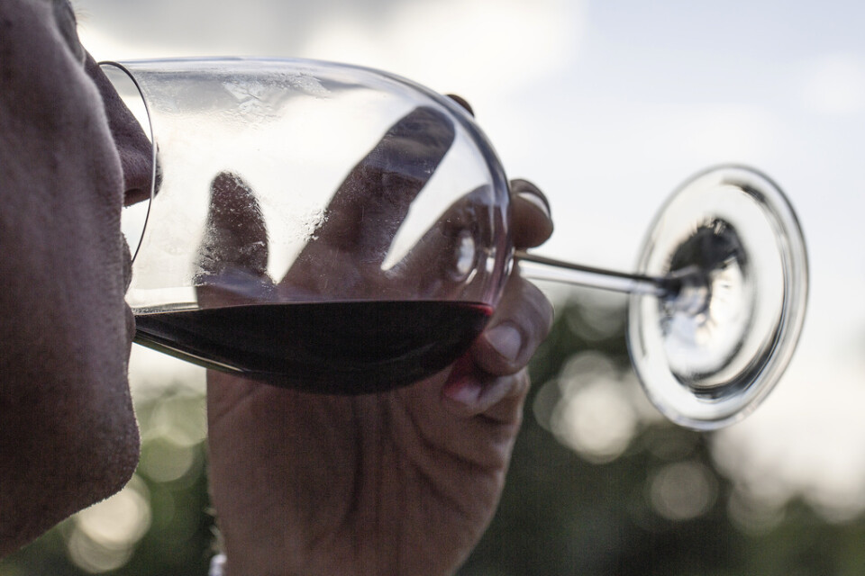 En ny studie visar att ett glas rödvin ger lägre blodsocker och stillar hungern mer än alkoholfritt vin. Arkivbild.