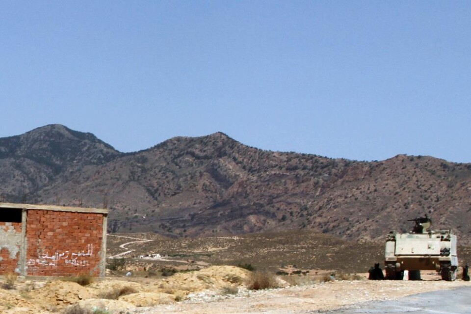 Fyra soldater har dödats och sex sårats i ett bakhåll i tunisiska bergsregionen Kasserine där militären bekämpar jihadister, rapporterar statlig tv. Militära källor uppger för AFP att tisdagens attack ägde rum nära staden Sbeitla. Sammanlagt har cirka 6
