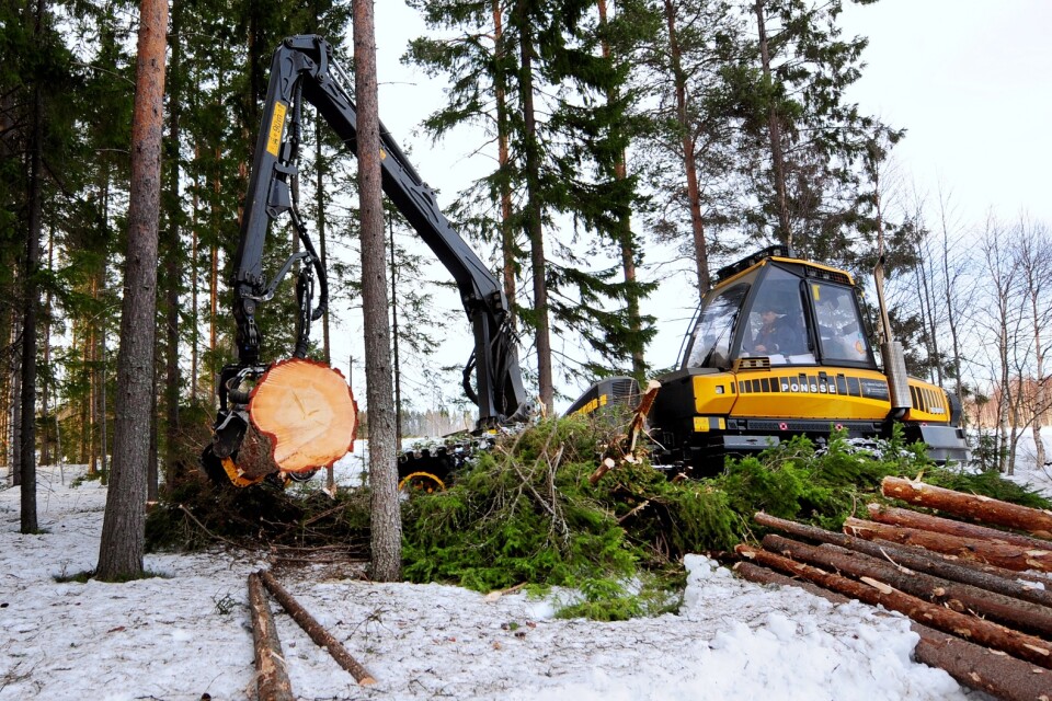 Miljontals hektar produktiv skogsmark riskerar att försvinna.