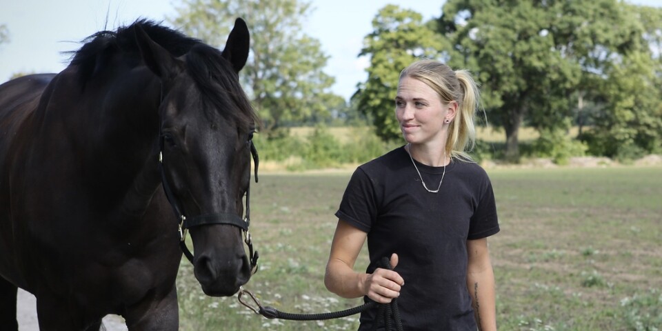 Lina, 29, om att jobba med unghästar: ”Folk tror att jag är totalt orädd”