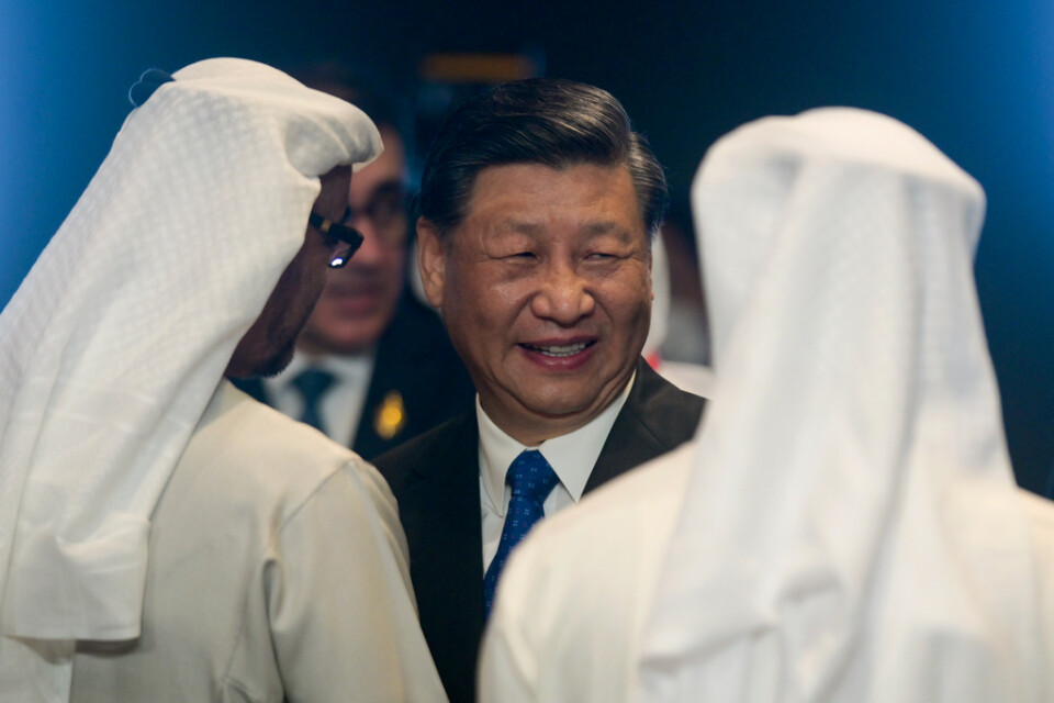 Kinas president Xi Jinping samtalar med Förenade arabemiratens president under G20-mötet på Bali.