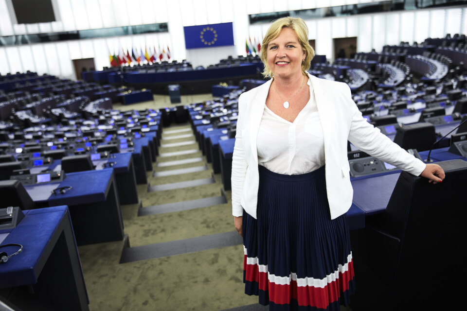 Liberalernas Karin Karlsbro i EU-parlamentet i Strasbourg. Hit vill hon helst slippa åka. Arkivbild.