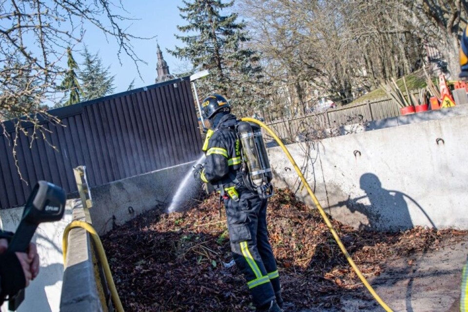 A compost heap was on fire in Tivoli Park on Sunday. The fire was most likely deliberately set.
