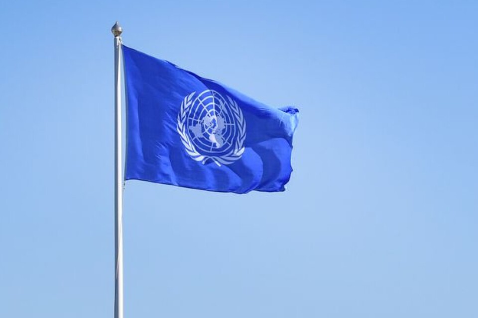 Söndagen den 24 oktober är FN-dagen.
