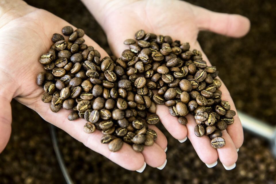 Brasilien och Colombia har beslutat att definiera arbete inom kaffesektorn som nödvändigt arbete vilket möjliggör för säsongsarbetare att komma till länderna.