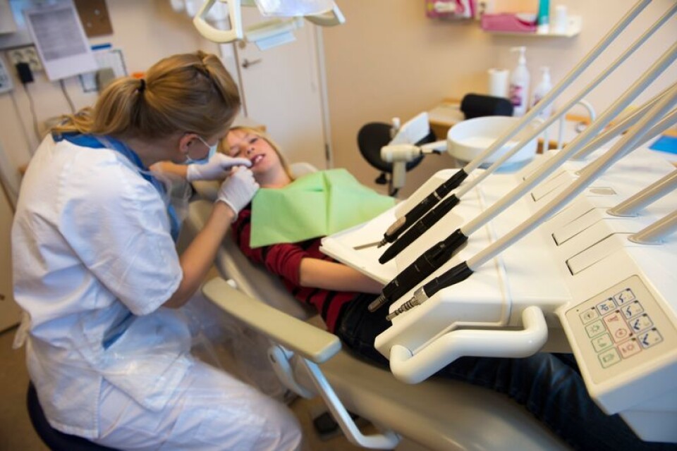 Förändra och förnya utbildningssystemet av tandläkare, det föreslår dagens debattörer som en väg att gå för att säkerställa att hela Sverige har tandläkare även i framtiden.