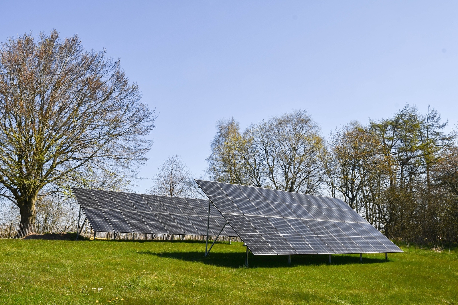 Målet att bli självförsörjande på grönsaker, men även energi, därav satsningen på en egen liten solcellspark som beräknas producera 18 000 kilowattimmar om året.