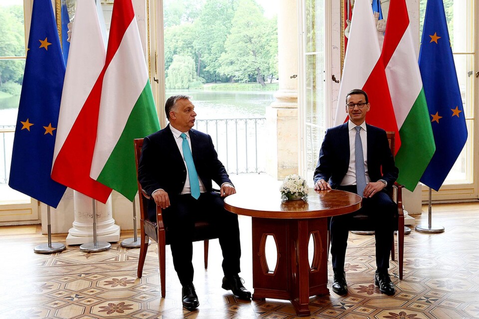 Ungers premiärminister Viktor Orban i ett möte med sin polske kollega Mateusz Morawiecki 14 maj i Lazienkepalatset i Warszawa.