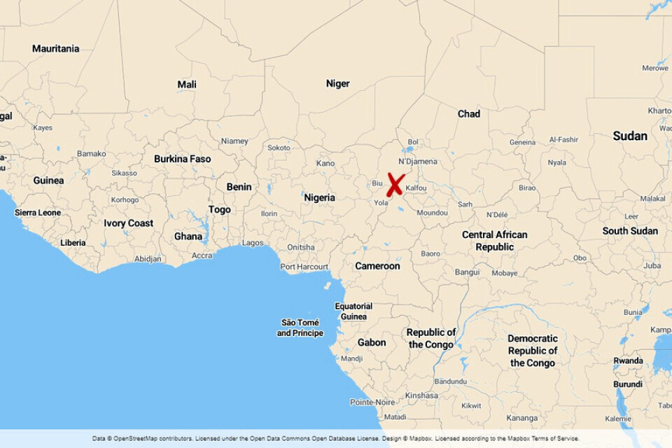 Boko Haram anklagas för en dödlig attack mot ett flyktingläger i kamerunska Nguetchewe, nära gränsen till Nigeria.