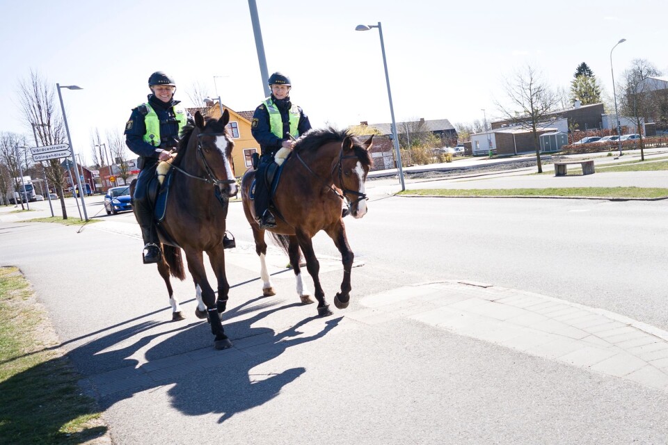 Hästar och personal från polisrytteriet finns på torget i Ronneby onsdagen den 23 september.