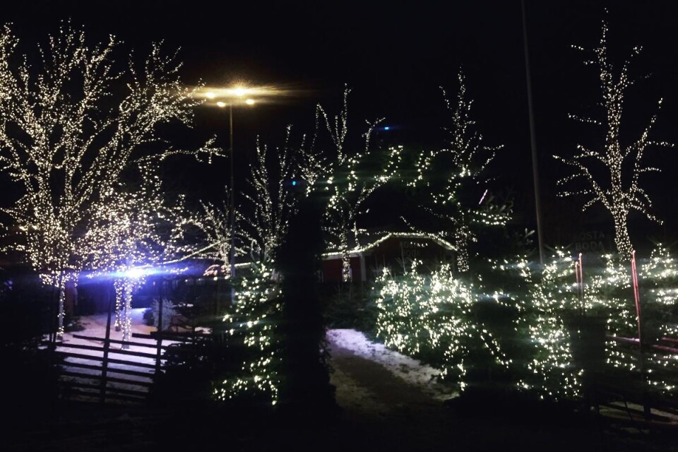 Smygvisning av Kosta julmarknad. Foto: Emma Koivisto