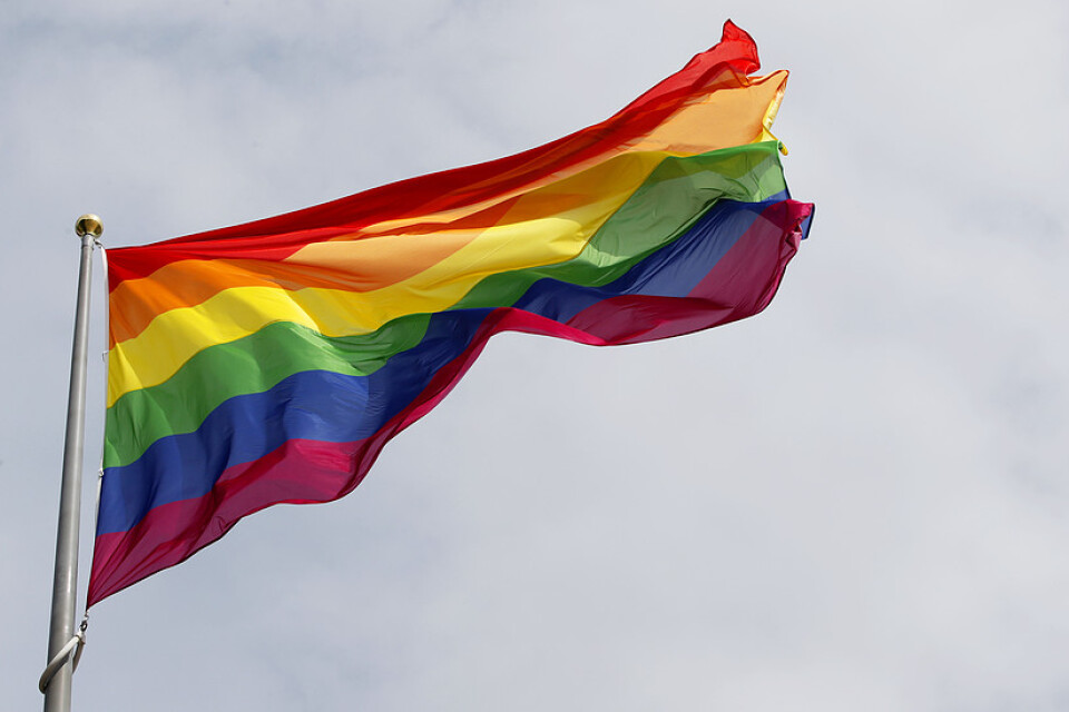 Sverigedemokraten Teddy Nilsson, ordförande för kommunstyrelsen i Svalöv, vill förbjuda prideflaggan.