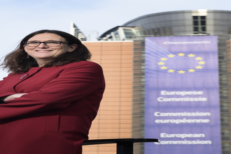 Cecilia Malmström, vars mandat som EU:s handelskommissionär löper ut i oktober, har utsetts till "Årets svensk i världen". Arkivbild