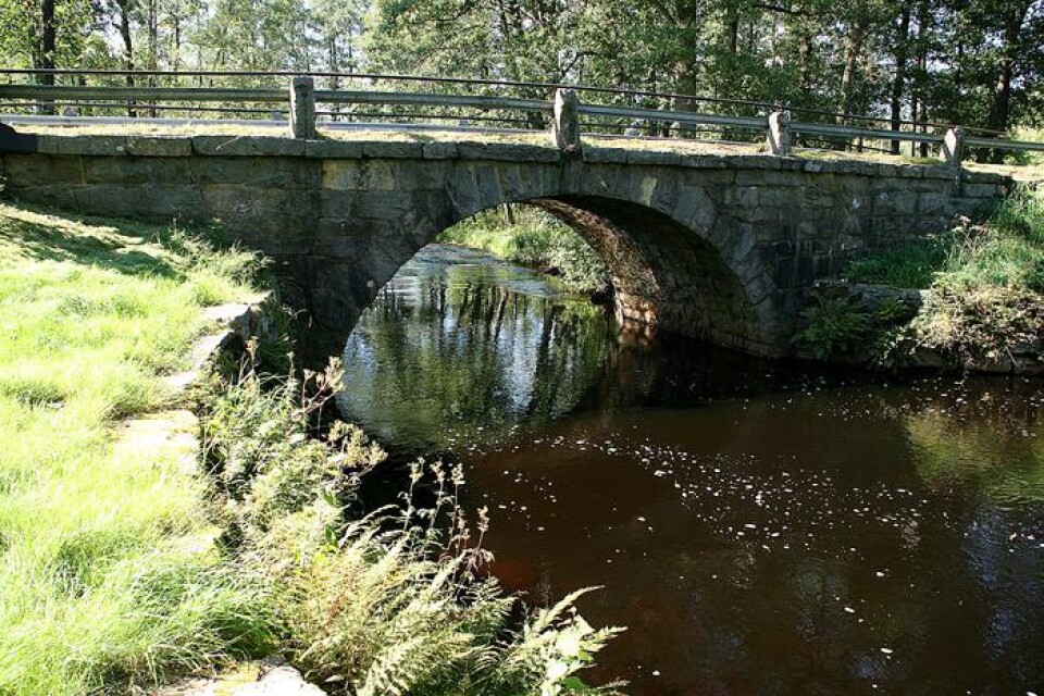 Runt den gamla stenvalvsbron vid Bollebygdsskolan finns mycket intressant natur.