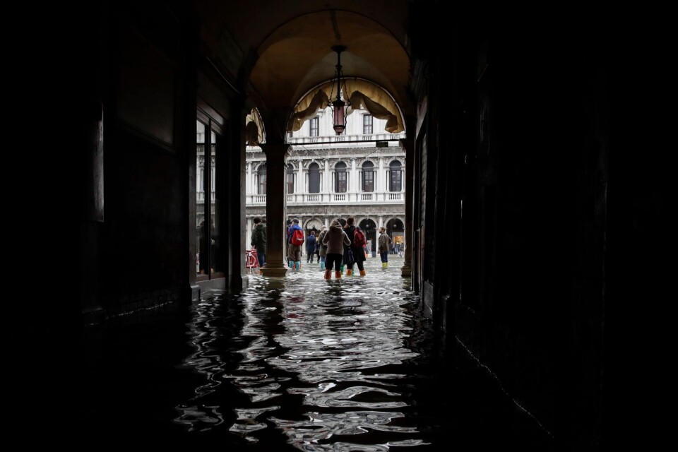 Klimatförändringarna tvingar just nu alla som besöker Venedig att bära stövlar... Internationellt samarbete är det enda som kan rädda vår planet, skriver Per Nilsson i Sölvesborg.