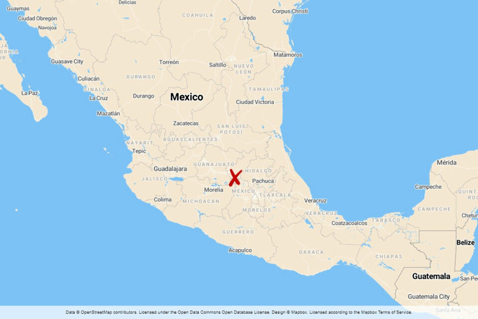 Kvinnan sköts till döds på öppen gata i staden Tequisquiapan i Mexiko.