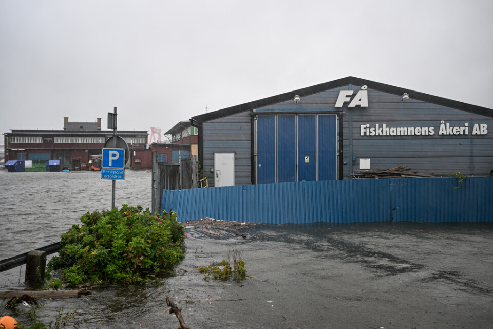 Fiskhamnens i Göteborg på tisdagen.