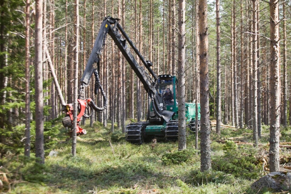 ”En stor del av Sveriges välfärd bygger på vår historiska och aktuella export av produkter från skogen”, skriver Håkan Lundgren.