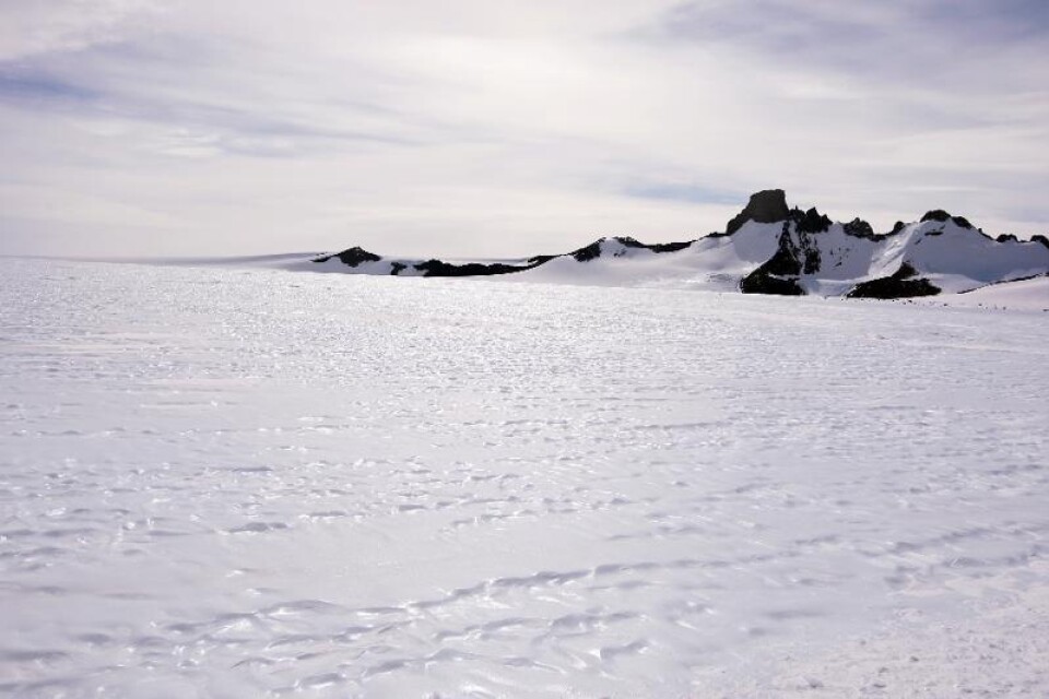 Isen på Antarktis och Arktis växer, skriver Sture Åström i Nätverket KLIMATSANS.