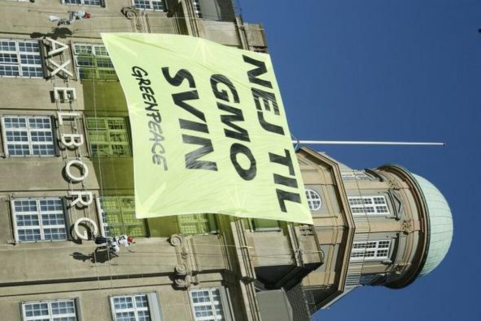 Banderollen som fällde Greenpeace. ARKIVBILD