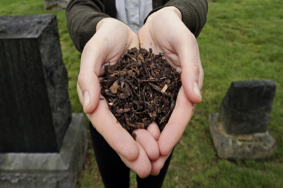 Kompostmaterial – här från ett djur – som blir resultatet av begravningsprocessen. Arkivbild.