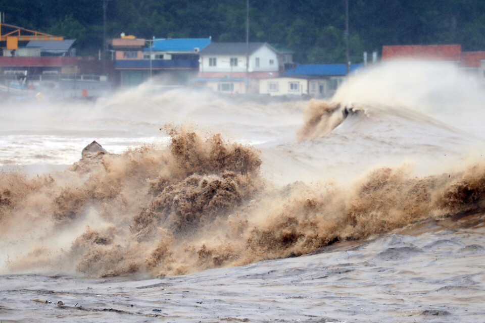 Vilda vågor i Pohang, Sydkorea, i samband med Hinnamnors framfart i förra veckan.