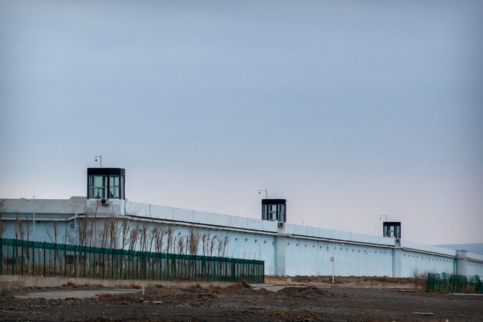 Den här anläggningen i Ürümqi i Xinjiang har plats för 10 000 fångar. När AP:s reportrar var på ett uppstyrt besök i myndigheternas regi år 2021 såg de uiguriska män sitta i rader i en sal och titta på svartvita filmer om Kommunistpartiets historia. Arkivbild.