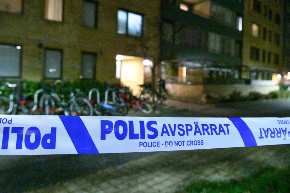 Polisen har upptäckt flera förmodade skotthål i en lägenhetsdörr och ett trapphus i ett flerfamiljshus i stadsdelen Hyllie i Malmö.