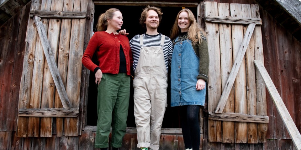 Rasmus och Sofia pausade studierna och började bygga ett lantkafé: ”Det ska vara lite galet och kreativt”