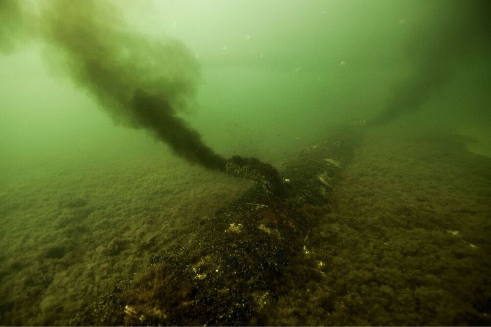 Ett av rören som kommer från Nymölla pappersbruk med förorenat 30 grader varmt vatten cirka 1 000 liter i sekunden.