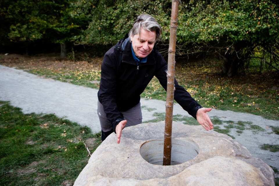 Frågan är om trädet kommer att spränga stenen så småningom? Konstnären Frank Björklund som gjort Genombrott var säker.