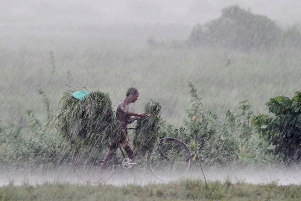 Nästan 1,5 miljoner människor i Indien och Burma har tvingats fly från sina hem de senaste dagarna på grund av svåra översvämningar. Över 200 människor har omkommit i vattenmassorna. Monsuntiden pågår normalt från juni till oktober i Sydasien, och bruk