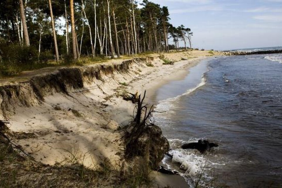 Kommunen planerar nya försök att stoppa stranderosionen. Bild: Albin Brönmark