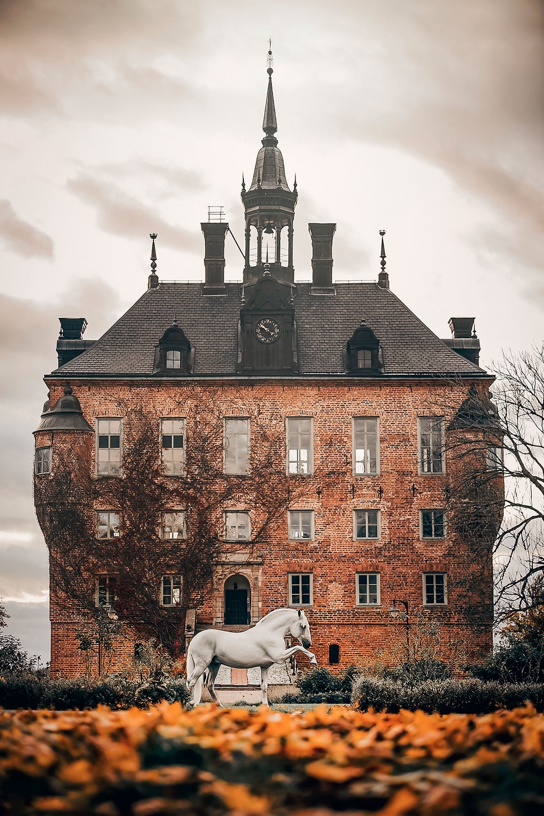 Hästfotografen Jenna Vainionpääs utställning ​"Sagolika hästar i slott och ruiner" visas på Borgholms slott sommaren 2023.