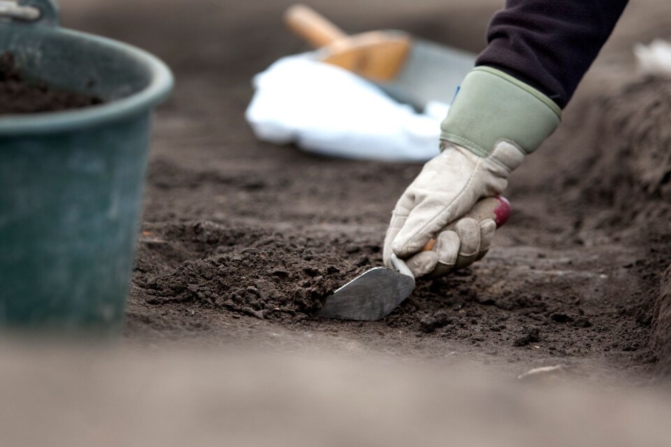 Skolklasser kan själva prova på att vara arkeologer.