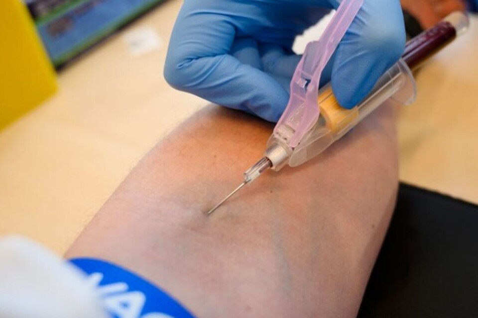 Ett blodprov visar om du har antikroppar mot covid-19, det vill säga om haft sjukdomen eller ej.