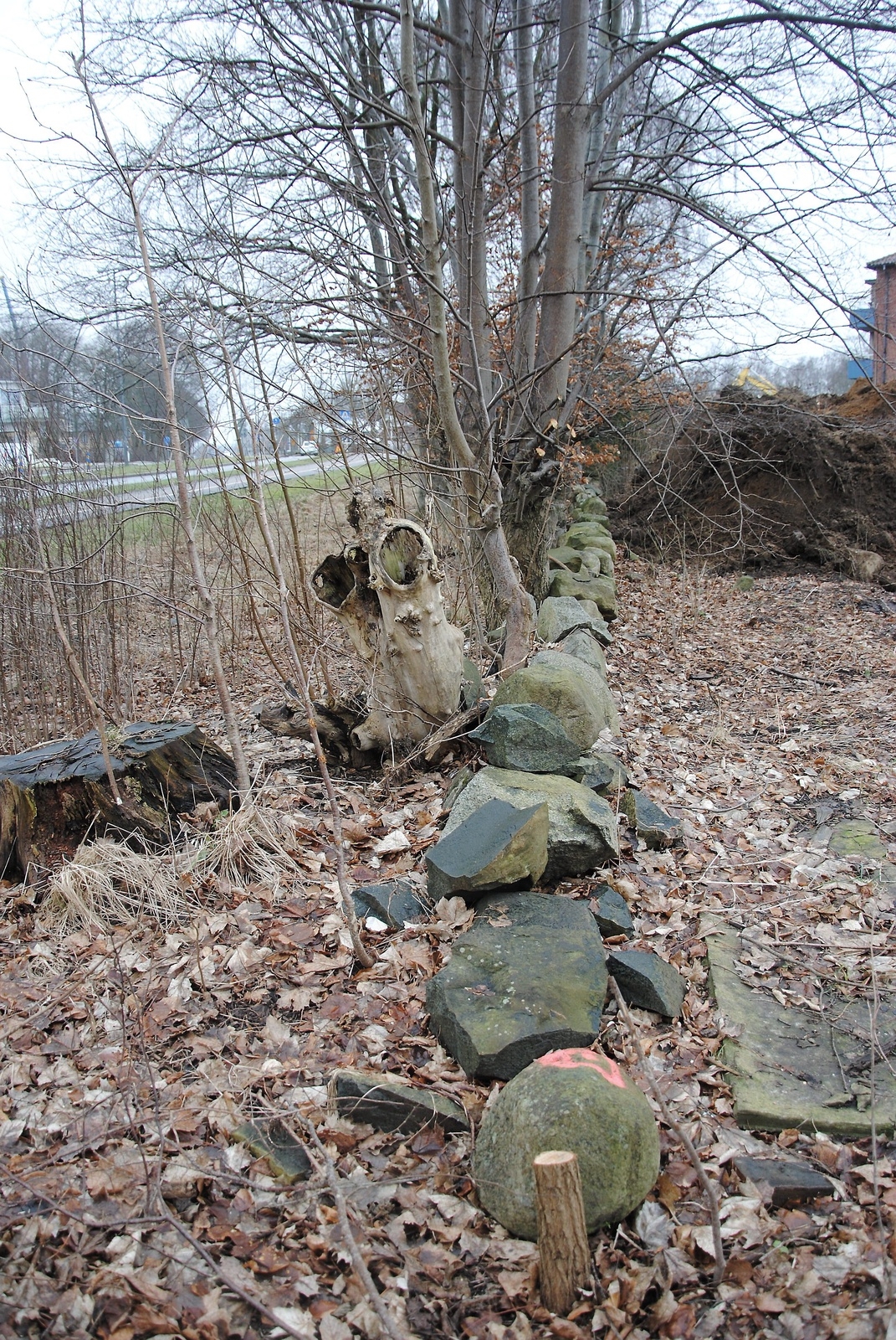 Ut mot Vankivavägen finns också delar av en gammal stenmur kvar.
Foto: hans Bryngelson