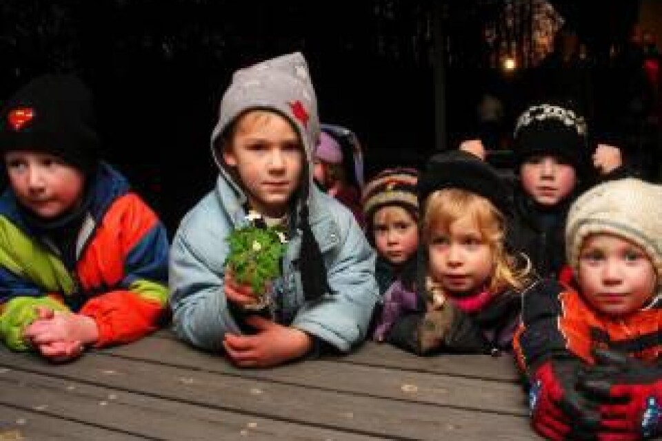 Förskolebarnen på Smultronet i Applerum visar upp sitt fynd. Filip Johnsson får förtroendet att hålla i vasen med tre nyutslagna vitsippor. Foto: Marie-Louise Gravestam