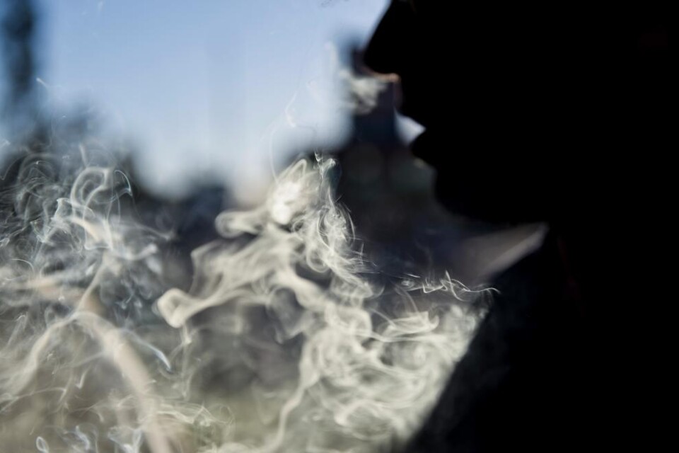 Antalet spanjorer som började röka cannabis under 2013 var fler än de som började röka vanlig tobak. Det visar en rapport från den spanska regeringen. Enligt rapporten var det 169 000 personer som började använda cannabis 2013, jämfört med 142 000 som b
