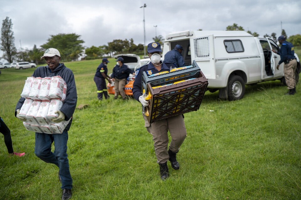 Sydafrikansk polis levererar matpaket till hemlösa i Johannesburg. Många av dem försörjer sig vanligtvis genom att samla och återvinna skräp, vilket omöjliggjorts av karantänsåtgärderna.