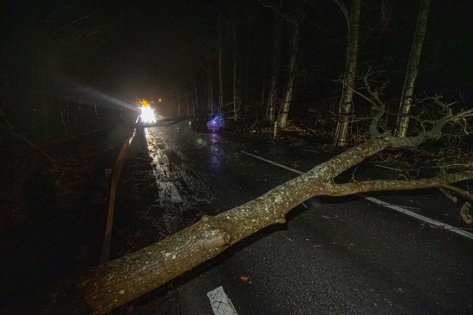 Stormen Otto drog in över södra Sverige inatt.Vid midnatt kom larm om träd över vägen i Mörbylånga. Bilden är från ett annat tillfälle.
